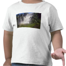La Argentina; Igwazu; Caídas de Igwazu. Salto San Camisetas