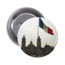 La Bandera de la estafa del EL Zocalo del DF del e Pins