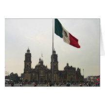 La Bandera de la estafa del EL Zocalo del DF del e Tarjetón