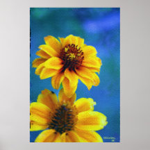 La belleza de la simplicidad posters