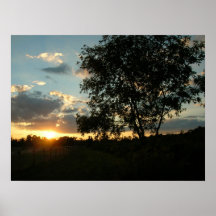 La belleza en una puesta del sol impresiones
