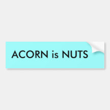 La BELLOTA es NUTS Pegatina De Parachoque