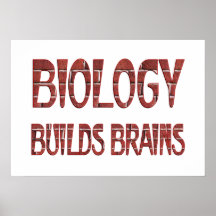 La biología construye cerebros poster