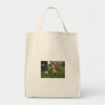 La bolsa de asas de la hada de la primavera
