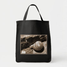 La bolsa de asas del caracol
