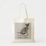 La bolsa de asas del gato