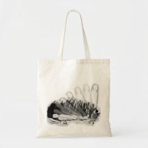 La bolsa de asas del triángulo OBE