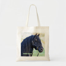 La bolsa de asas frisia