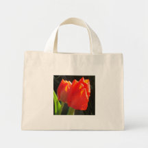 La bolsa de asas Tulip1
