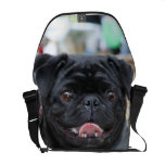 La bolsa de mensajero del carrito del perro del ba bolsa de mensajeria 