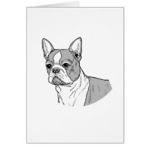 LA BOSTON TERRIER FELICITACIONES