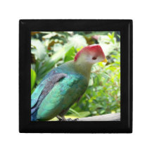 La cabeza colorida del pájaro giró el poste caja de regalo