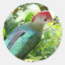 La cabeza colorida del pájaro giró el poste etiqueta