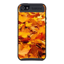 La caída deja a otoño la cubierta de tierra iPhone 5 cobertura
