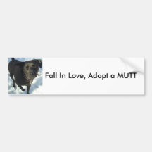La caída en amor, adopta un MUTT Etiqueta De Parachoque