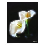 La cala elegante florece la impresión moderna 13 impresión fotográfica