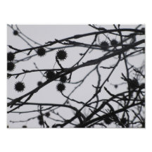 La calma de un día de invierno de niebla fotografía  