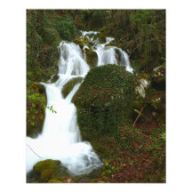 La canción de la naturaleza fotografías  