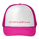 La chihuahua rosada punteada puntea el casquillo/e