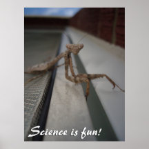 ¡La ciencia es diversión! Poster