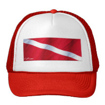 La colección de la bandera de la zambullida gorros bordados