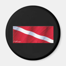 La colección de la bandera de la zambullida imanes  