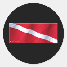 La colección de la bandera de la zambullida pegatina