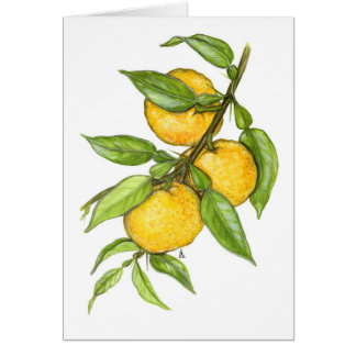 La colección de Yuzu Tarjetón