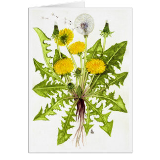 La colección del diente de león tarjetón