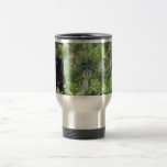 La curruca de Kirtland Tazas