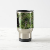 La curruca de Kirtland Tazas