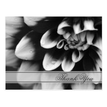 La dalia blanco y negro le agradece postal