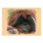 La fiesta de cumpleaños salvaje del orangután invi comunicados personalizados