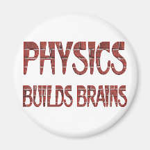 La física construye cerebros imán