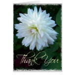 La flor blanca le agradece cardar felicitaciones