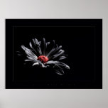 la flor colorea negro posters