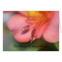 La flor del Alstroemeria nuestros pensamientos est Felicitacion
