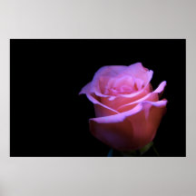 La flor más dulce que sopla… impresiones