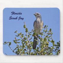 La Florida friega a Jay Tapete De Ratones