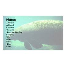 (la Florida) Manatee-subacuático al oeste indio Plantillas De Tarjetas De Visita