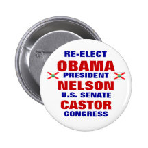 La Florida para el echador de Obama Nelson Pins