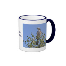 La Florida Srub Jay Tazas