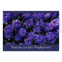 La fotografía floral de los jacintos le agradece c felicitacion 