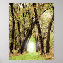 "" La fotografía porta Poster