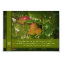 La fruta de sus manzanas 5x7 de la salvación foto