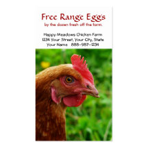 La gama libre de la pequeña gallina roja Eggs la t