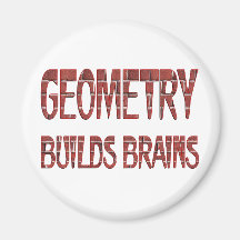 La geometría construye cerebros imanes de nevera