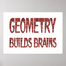 La geometría construye cerebros impresiones