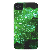 la hoja verde natural sale tierra de los árboles d iPhone 4 protector