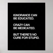 LA IGNORANCIA PUEDE SER EDUCADA POSTER
